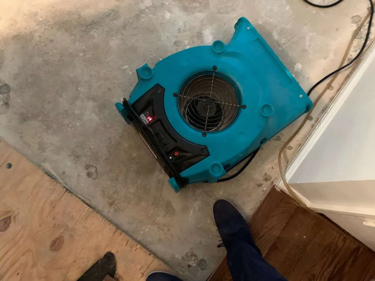 Air mover drying subfloor during Leak Detection & Repair in Norwich